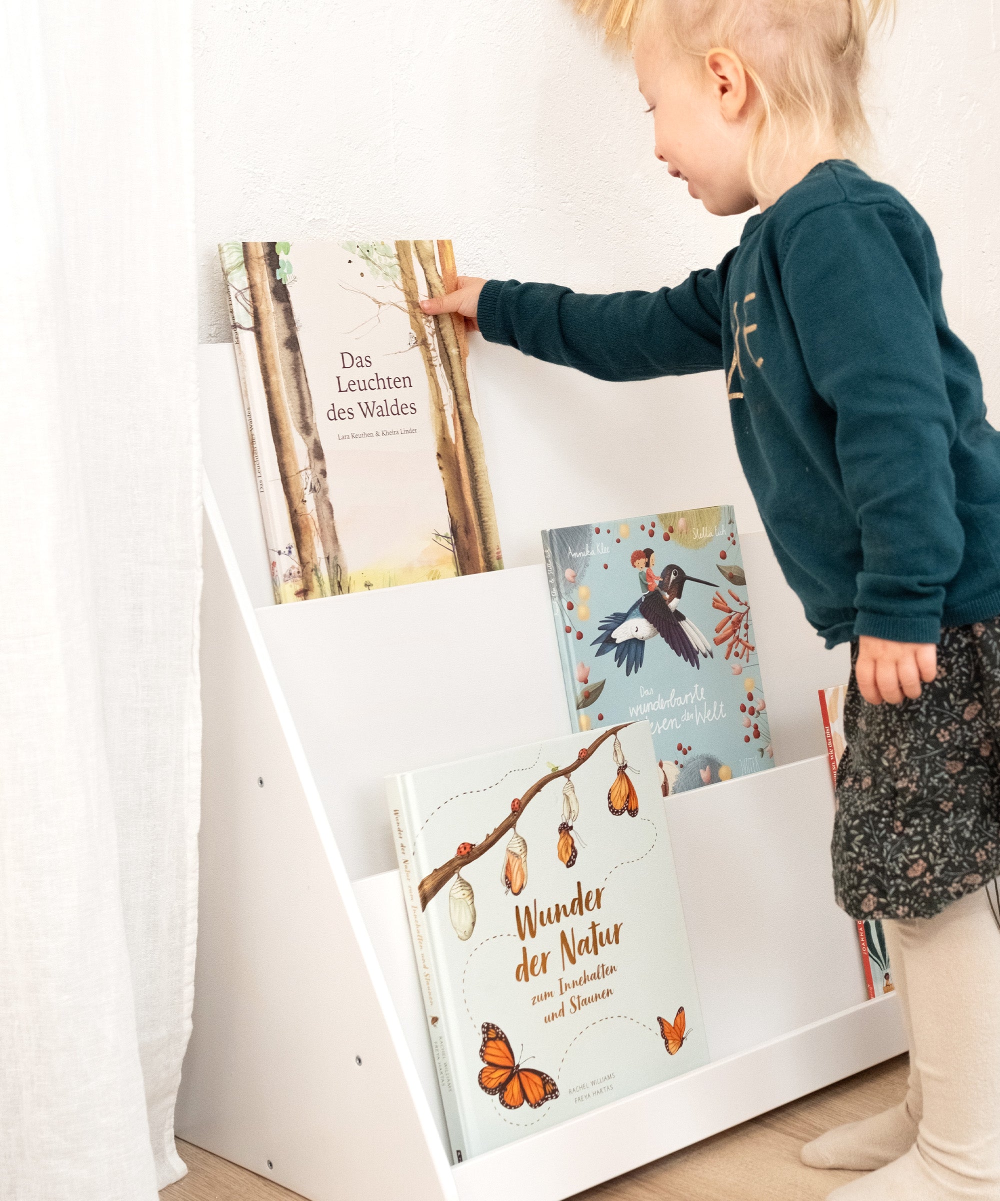 ehrenkind-b-cherregal-birke-b-ware-nachhaltiges-kinderzimmer-regal image 4